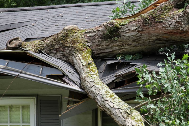 Asphalt Roofing Service in Warwick, RI