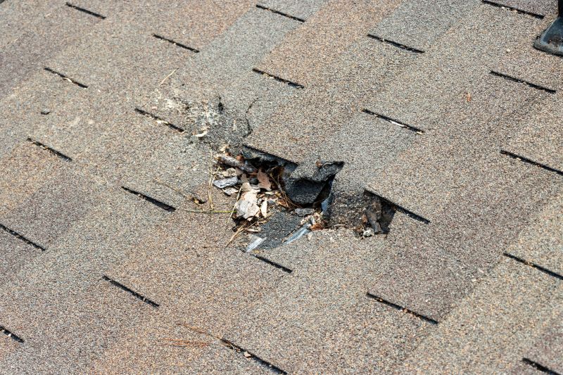 Shingle Roof Replacement in Warwick, RI